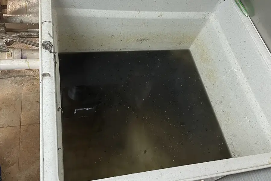 sewer backup in laundry sink
