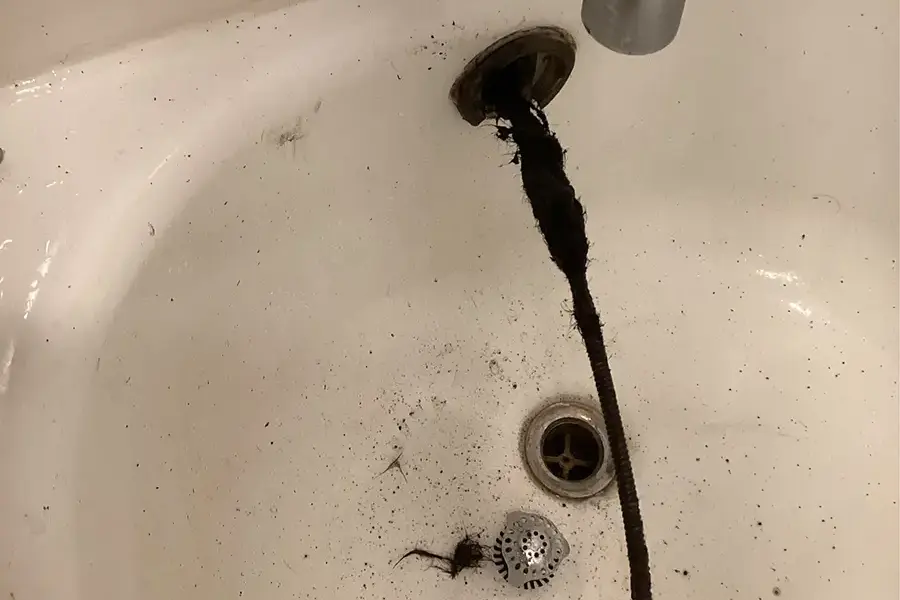 drain snake for bathtub