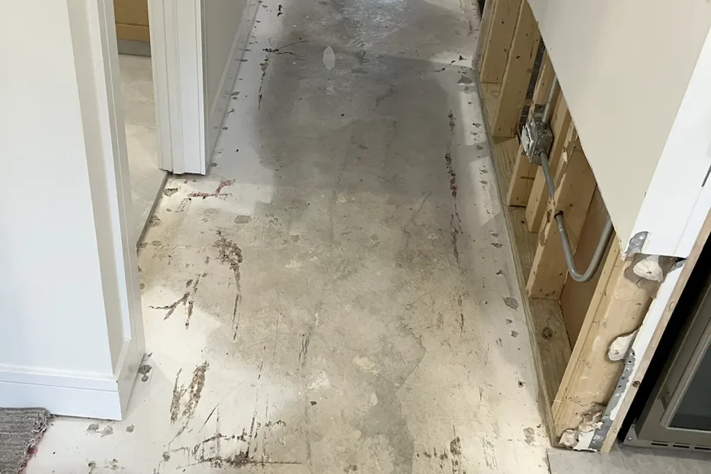 basement water removal